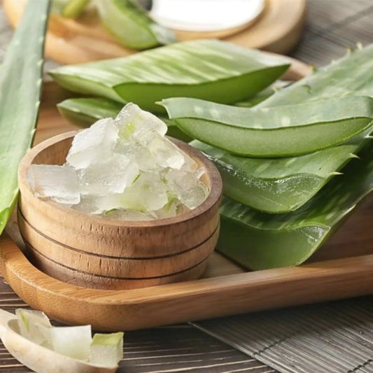 Aloe Vera vs. Other Natural Ingredients: Which Is Best for Your Skin?