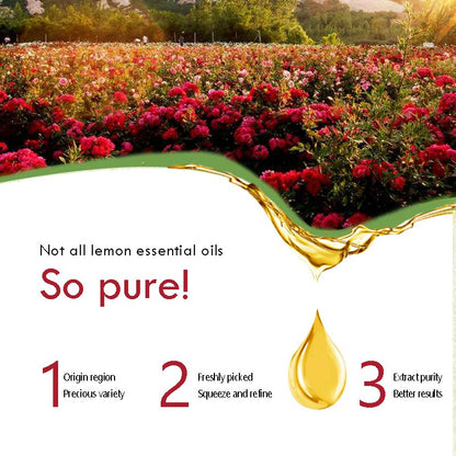 100% Pure Rose Essential Oil Aromatherapy Oil Best Grade Rose Oil for Diffuser, Perfumes, Massage, Skin Care - 10Ml